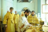 Metropolitan Hilarion: Health and illness are in the hands of God