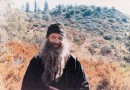 Seeker of the Truth. In Memory of Hieromonk Seraphim (Rose)