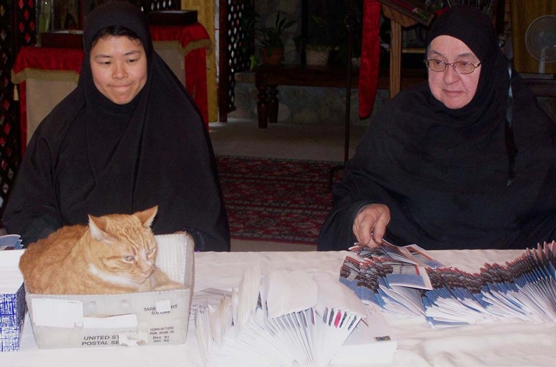 Cat power: St. Barbara may be the patron, but house pet Punkin rules the roost. (Courtesy of St. Barbara Orthodox Monastery)