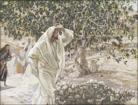 Joseph the All-Comely and the Cursed Fig Tree