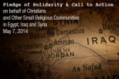 Pledge of Solidarity & Call to Action