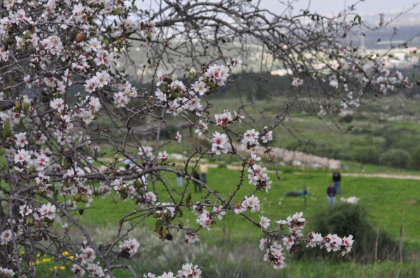 Biblical Park to be set up in Moscow