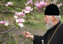 An Angel of the Church: In Remembrance of Metropolitan Vladimir of Kiev and All Ukraine: Part IV