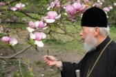 An Angel of the Church: In Remembrance of Metropolitan Vladimir of Kiev and All Ukraine: Part IV