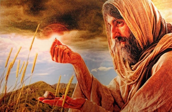 Receiving the Message and Bearing Fruit: On the Twentieth Sunday after Pentecost