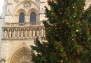 Moscow Christmas Tree Installed Before the Notre Dame Cathedral Paris