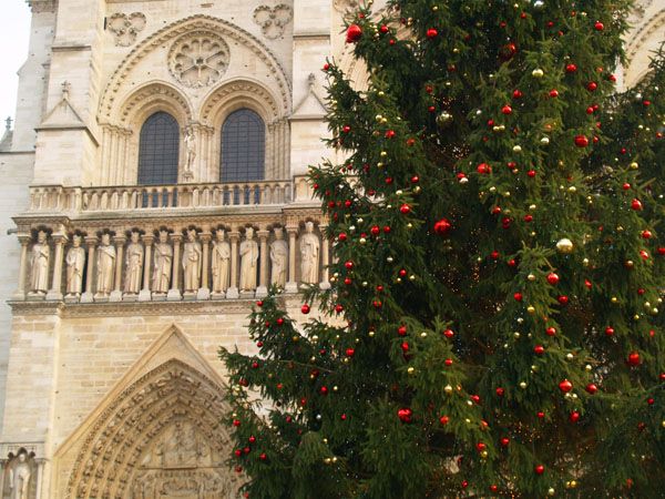 Moscow Christmas Tree Installed Before the Notre Dame Cathedral Paris