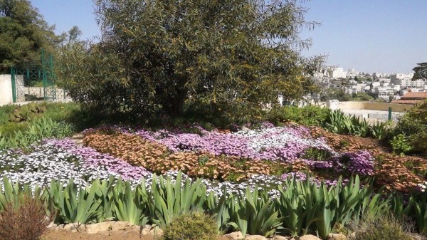 ‘Biblical garden’ to be planted near representation church of the Russian Ecclesiastical Mission in Hebron