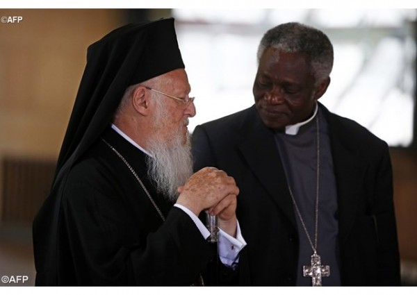 Cardinal Turkson: Day of Prayer for Creation is ecumenical