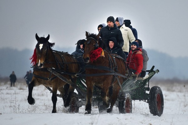 People on a horse carriage take part in traditional Epiphany celebrations in the village of Pietrosani in Romania Daniel Mihailescu/AFP