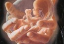 Assembly of Bishops issues common statement on sanctity of life