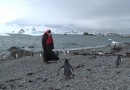 Patriarch Kirill strolls among penguins, prays in Orthodox church in Antarctica