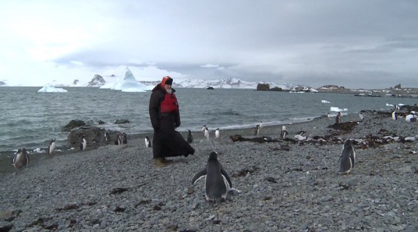 Patriarch Kirill strolls among penguins, prays in Orthodox church in Antarctica