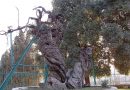 Russian experts will work in Palestine to save the Oak of Mamre mentioned in Bible