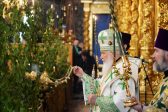 Patriarch Kirill drew a parallel between spiritual life and mobile connection