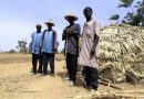 20 Christians, Including 9 Children, Massacred in Nigerian Village
