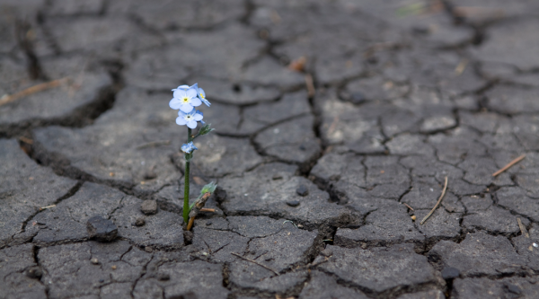 The Savior of the Hopeless, or Is It Possible to Be a Good Person and Not Be Saved?