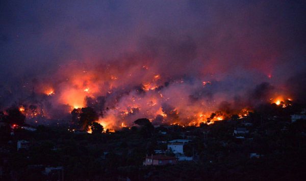 His Holiness, Patriarch Kirill, Offers Condolences over the Death of Fire Victims in Greece