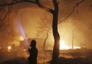 Updated: State of Emergency in Greece as Wildfires Continue, Leaving at Least 50 Dead