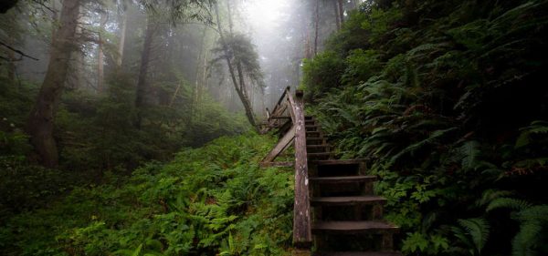 Find God’s Work in Unexpected Places