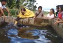 16 united to Christ in Filipino Mass Baptism (+ VIDEO)