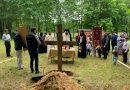 Romanian Metropolitan Lays Foundation Stone for New Church Dedicated to St John Jacob of Neamt