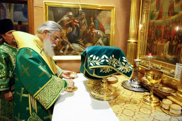 Hierarch of the Church of Jerusalem: We Pray for the Unity of Orthodoxy in Ukraine – in the Canonical Church