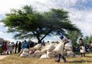 Zimbabwe Only Has Enough Grain Reserves to Last Just Over a Month