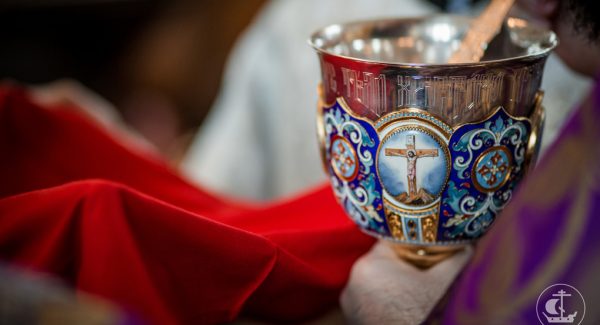 Moscow Priests Give Holy Communion to Several Patients with Coronavirus