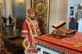 Metropolitan Hilarion: The Lord Calls Each of Us to Compassion and Mercy