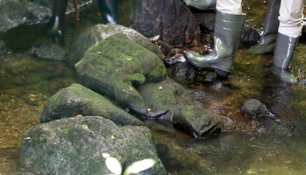 Angler Accidentally Finds 14th-Century Statue of Virgin Mary in Spain