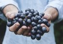 Vitamins for the Homeless. Residents of Chelyabinsk Give Part of the Harvest to the Social Canteen