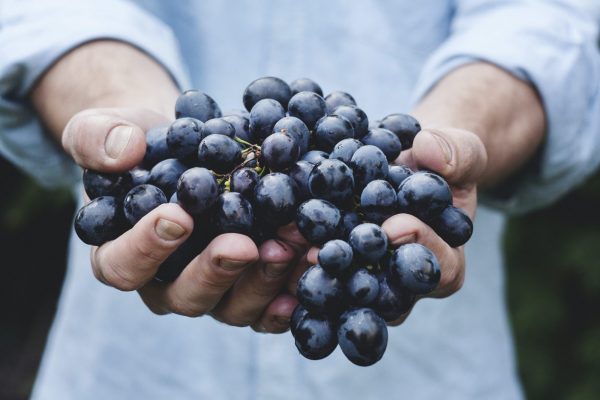 Vitamins for the Homeless. Residents of Chelyabinsk Give Part of the Harvest to the Social Canteen