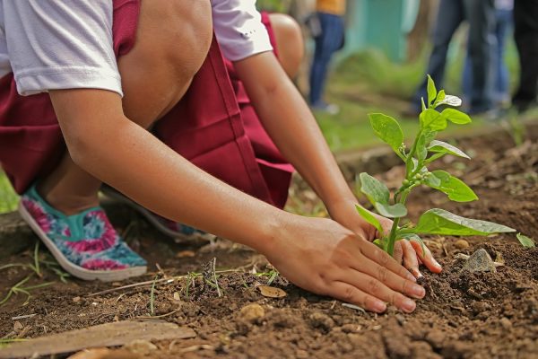 Orthodoxy and the Environment