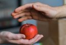 School Student Launches Food Sharing in Nefteyugansk. Cafes and Shops Give Food to Poor Families