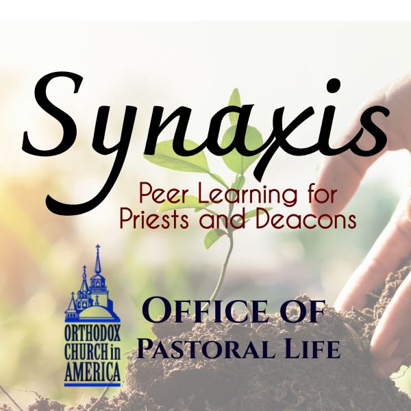 Office of Pastoral Life holds March Clergy Peer Learning Synaxis